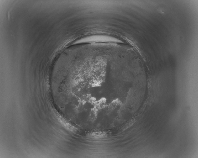 X0000078860353200611201319