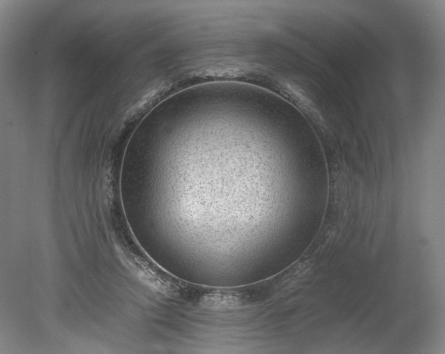 X0000078860354200611201319