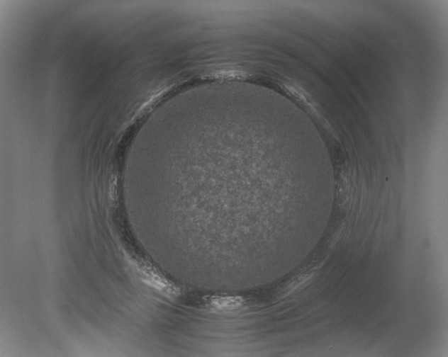 X0000078860355200611201319