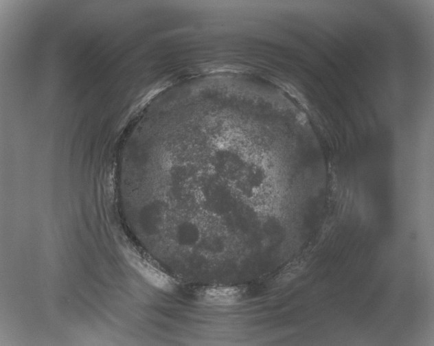 X0000078860357200611201319