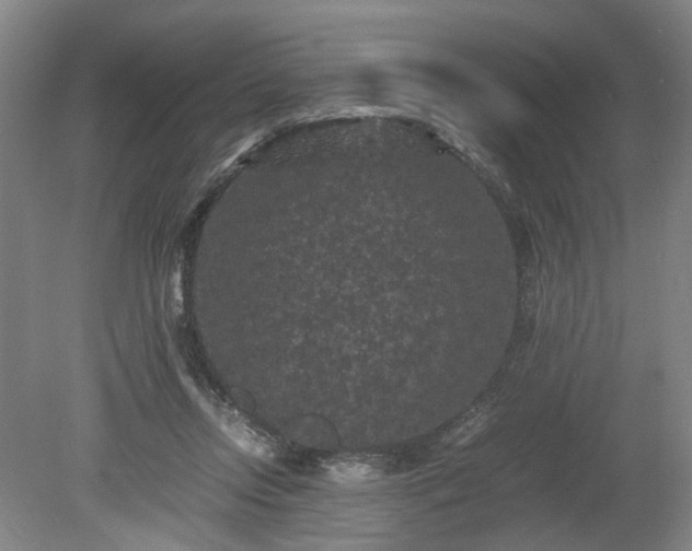 X0000078860358200611201319