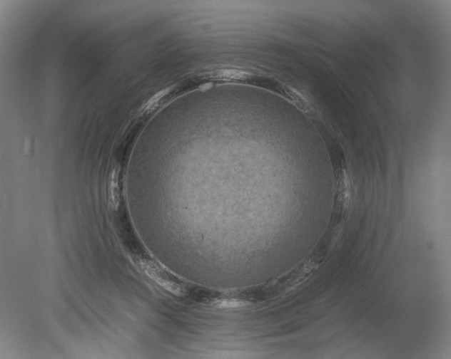 X0000078860360200611201319