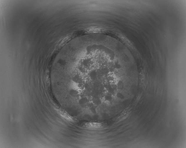 X0000078860361200611201319