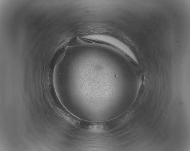 X0000078860362200611201319