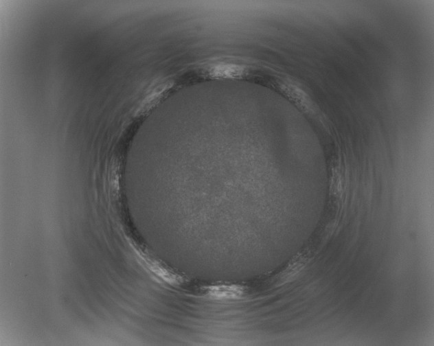 X0000078860363200611201319