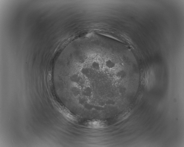 X0000078860365200611201319