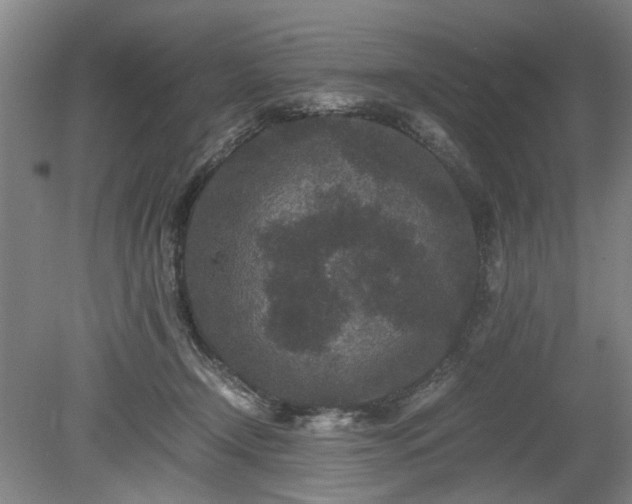 X0000078860366200611201319