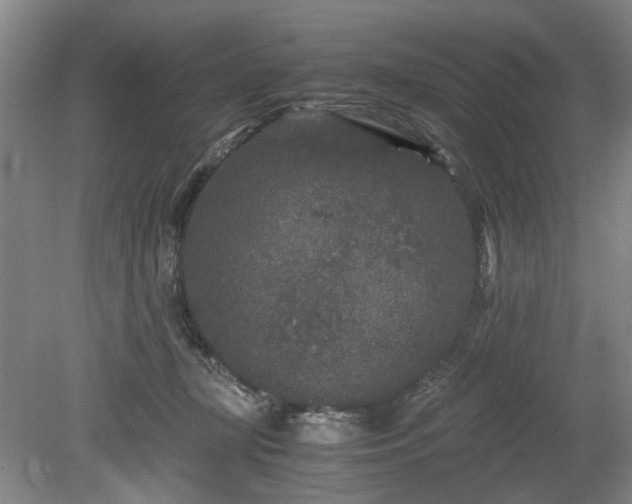 X0000078860367200611201319