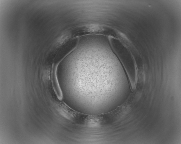 X0000078860368200611201319