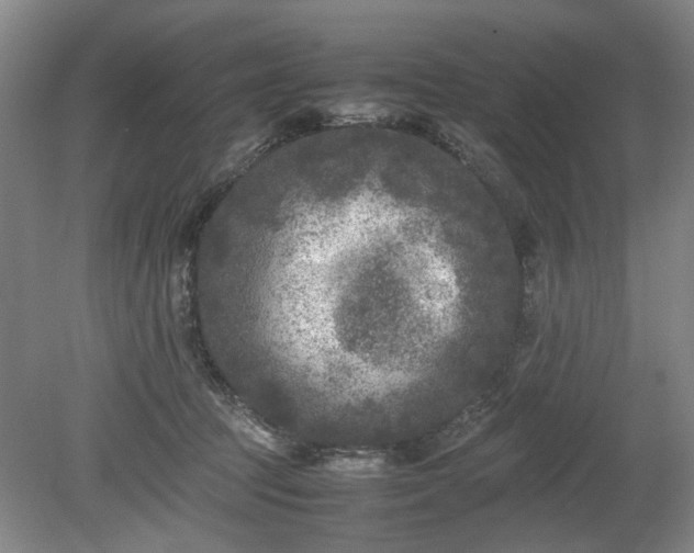 X0000078860369200611201319