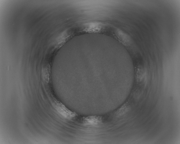 X0000078860370200611201319