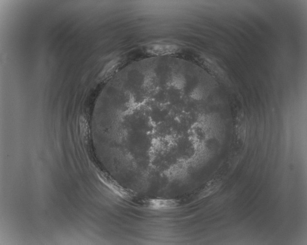 X0000078860371200611201319