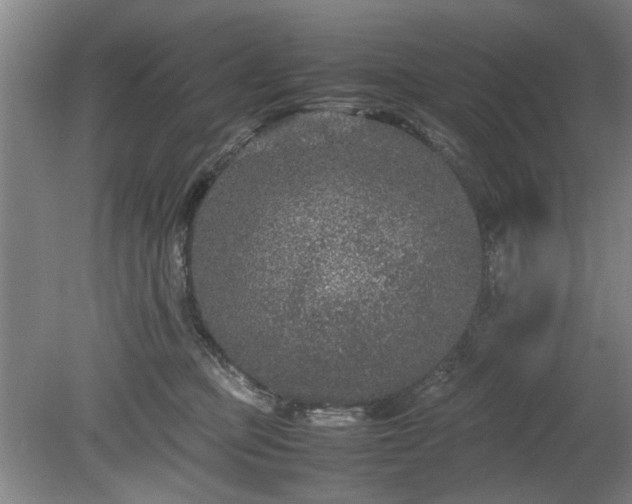 X0000078860373200611201319