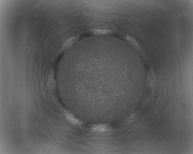 X0000078860377200611201320