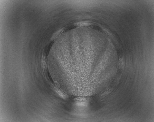 X0000078860381200611201320