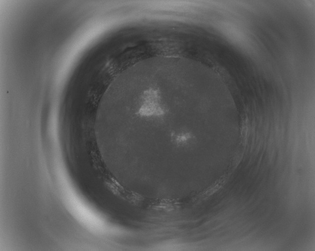 X0000078860383200611201320