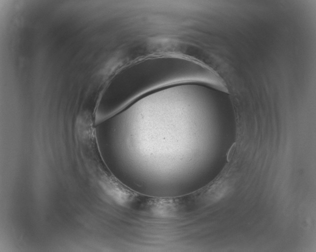 X0000078860384200611201320