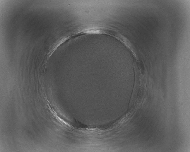 X0000078860385200611201319