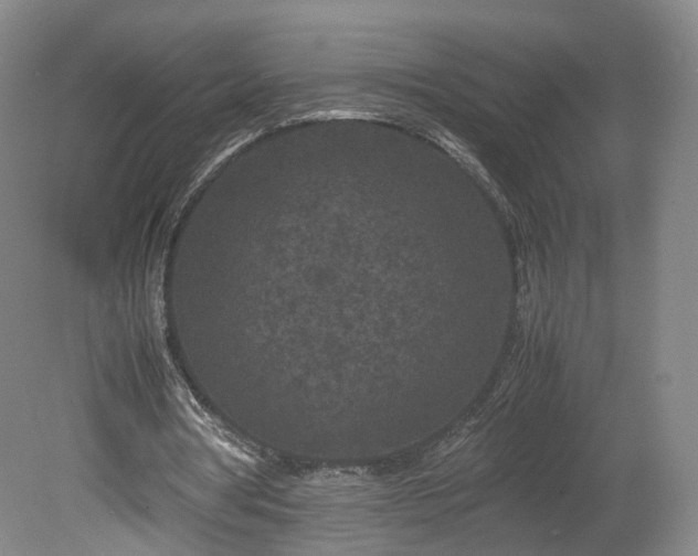 X0000078860386200611201319