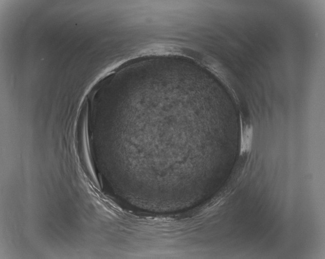 X0000078860387200611201319