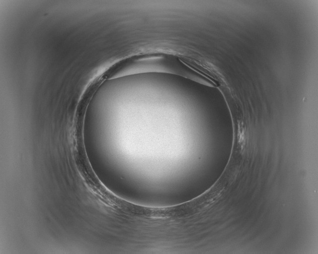 X0000078860388200611201319