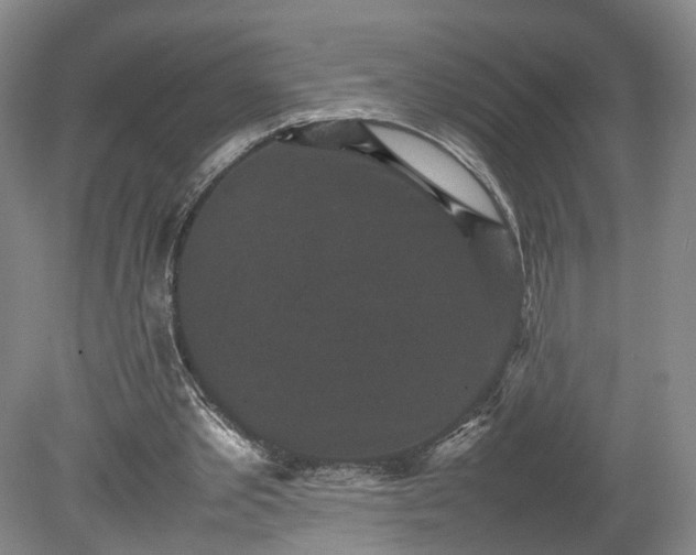 X0000078860389200611201319