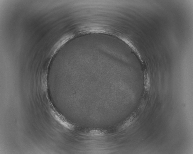 X0000078860390200611201319