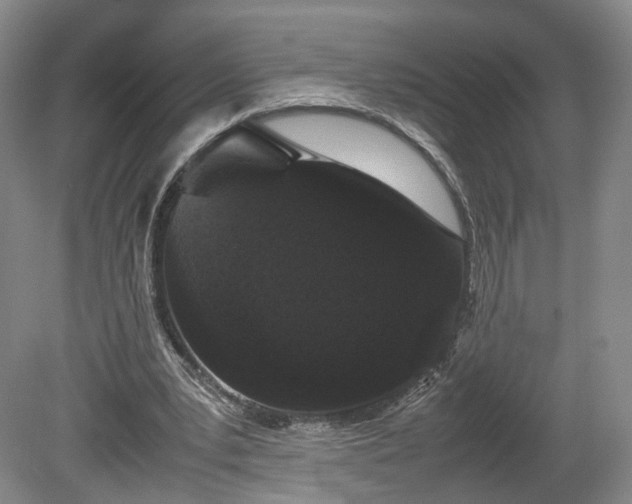 X0000078860391200611201319