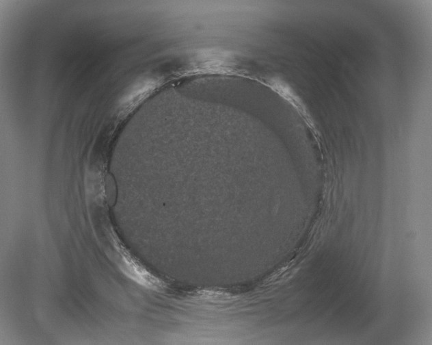 X0000078860393200611201319