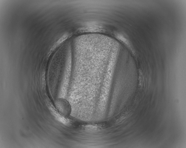 X0000078860394200611201319