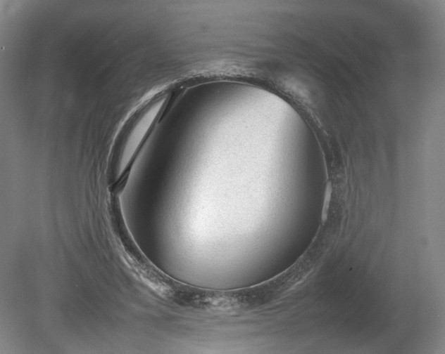 X0000078860395200611201319