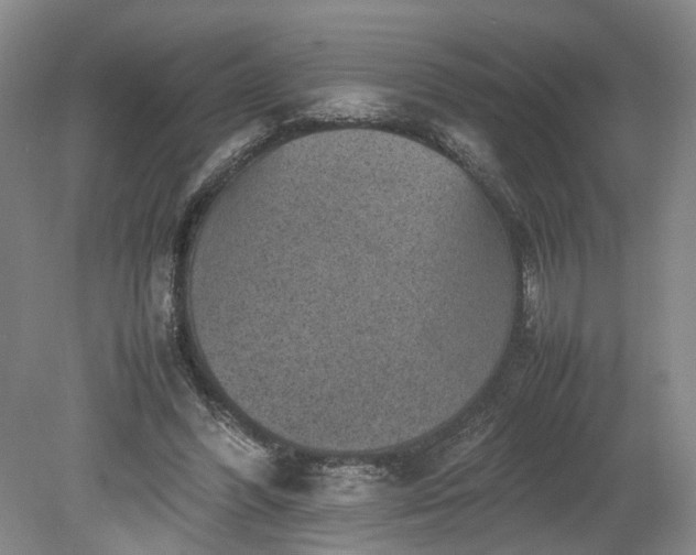 X0000078860396200611201319