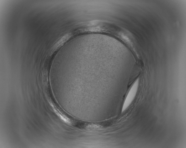 X0000078860397200611201319