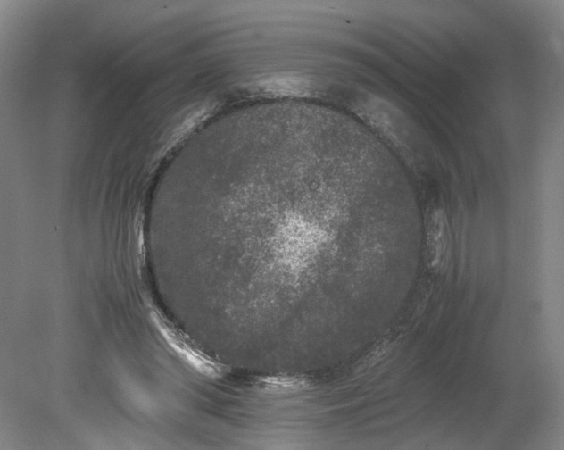 X0000078860398200611201319