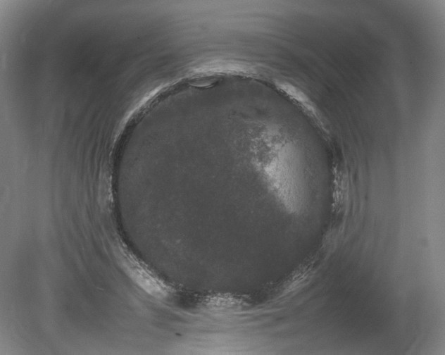 X0000078860399200611201319