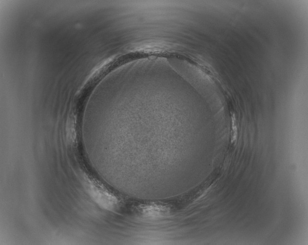 X0000078860400200611201319