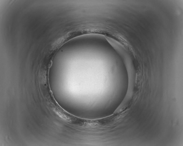 X0000078860401200611201319