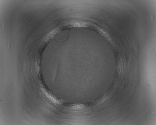 X0000078860402200611201319