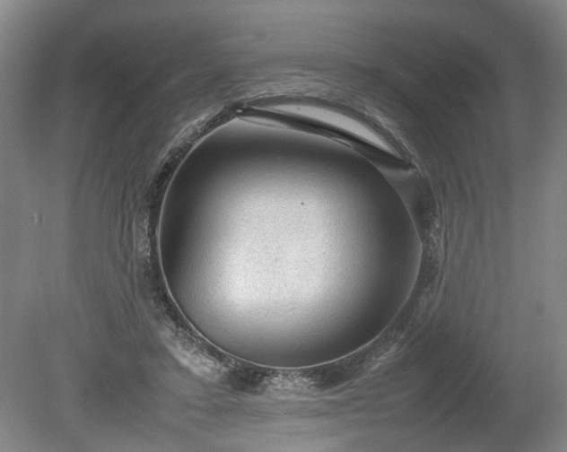 X0000078860403200611201319