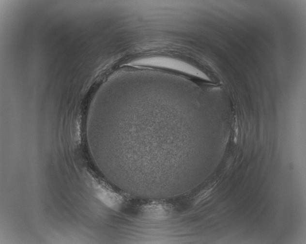 X0000078860404200611201319