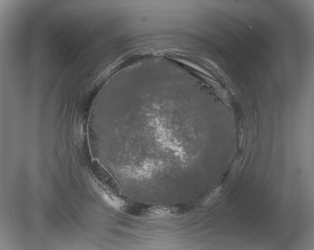 X0000078860405200611201319