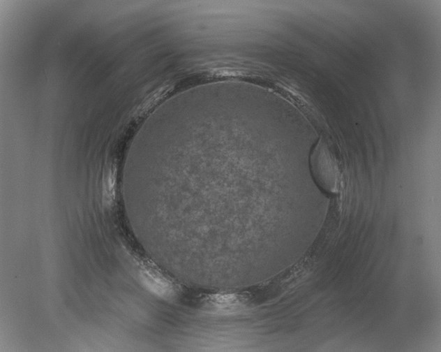 X0000078860406200611201319