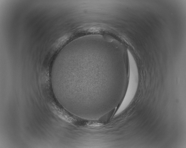 X0000078860407200611201318