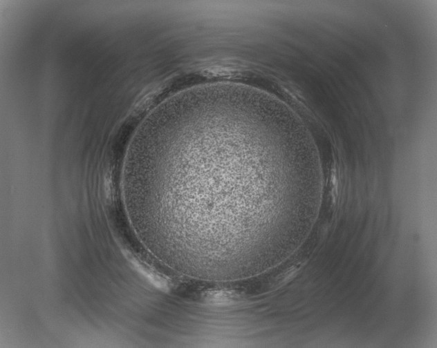 X0000078860408200611201318