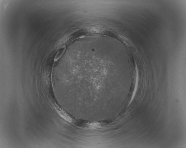 X0000078860409200611201318