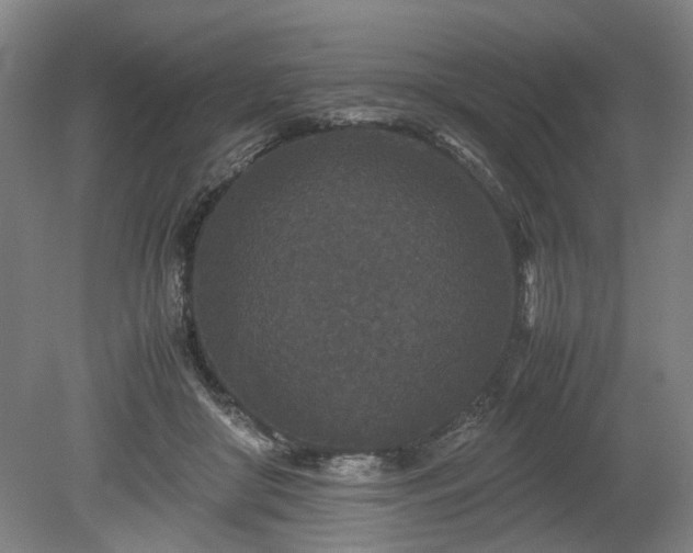 X0000078860410200611201318