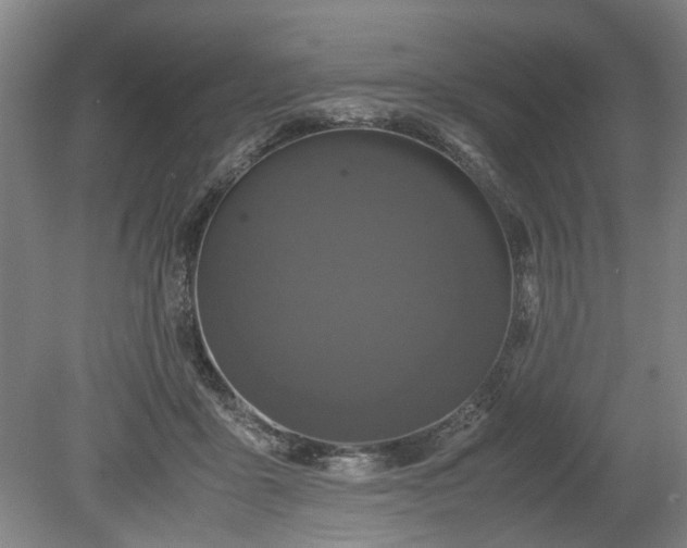 X0000078860411200611201318