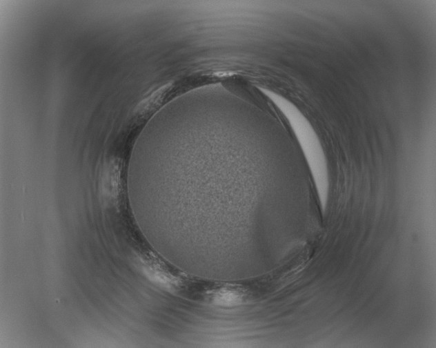 X0000078860412200611201318