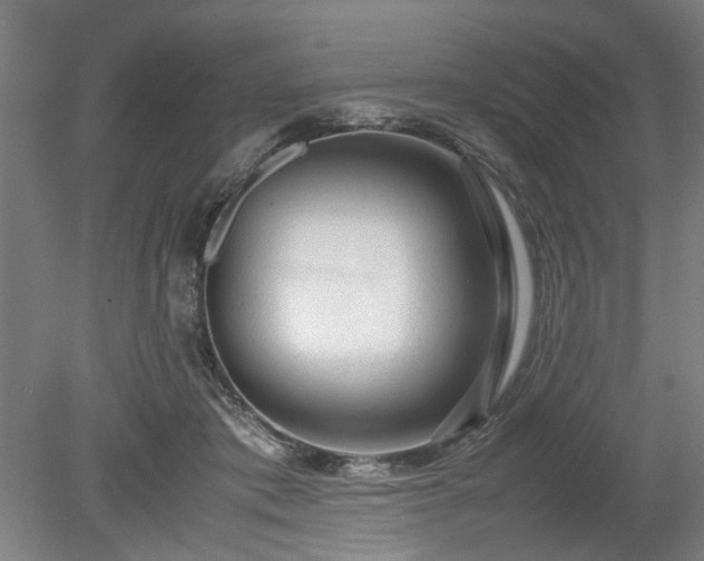 X0000078860413200611201318