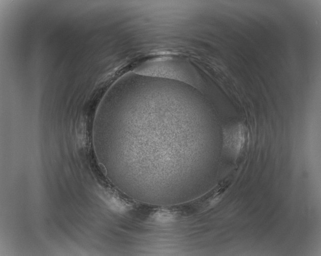 X0000078860416200611201318